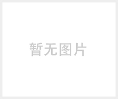 沃品CD003充电器 手机充电器批发